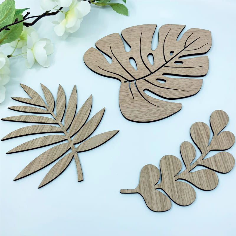 Pack Hojas Tropicales